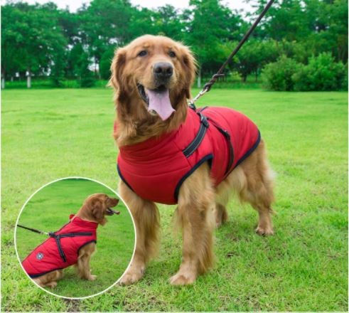 🔥Christmas Sale 49% OFF🔥 Waterproof Furry Jacket for Dogs of All Sizes