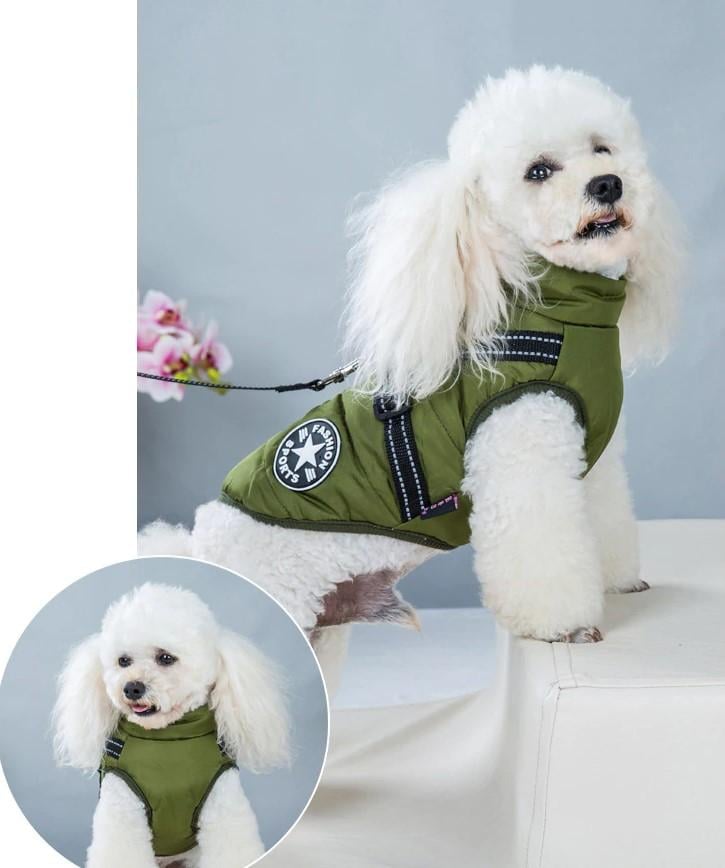 🔥Christmas Sale 49% OFF🔥 Waterproof Furry Jacket for Dogs of All Sizes