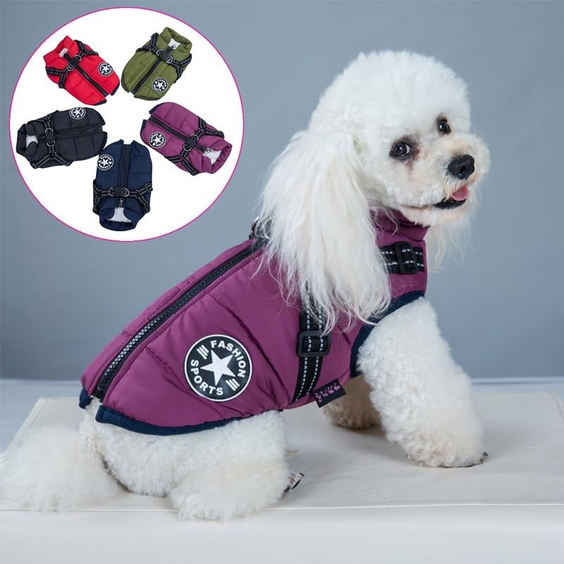 🔥Christmas Sale 49% OFF🔥 Waterproof Furry Jacket for Dogs of All Sizes