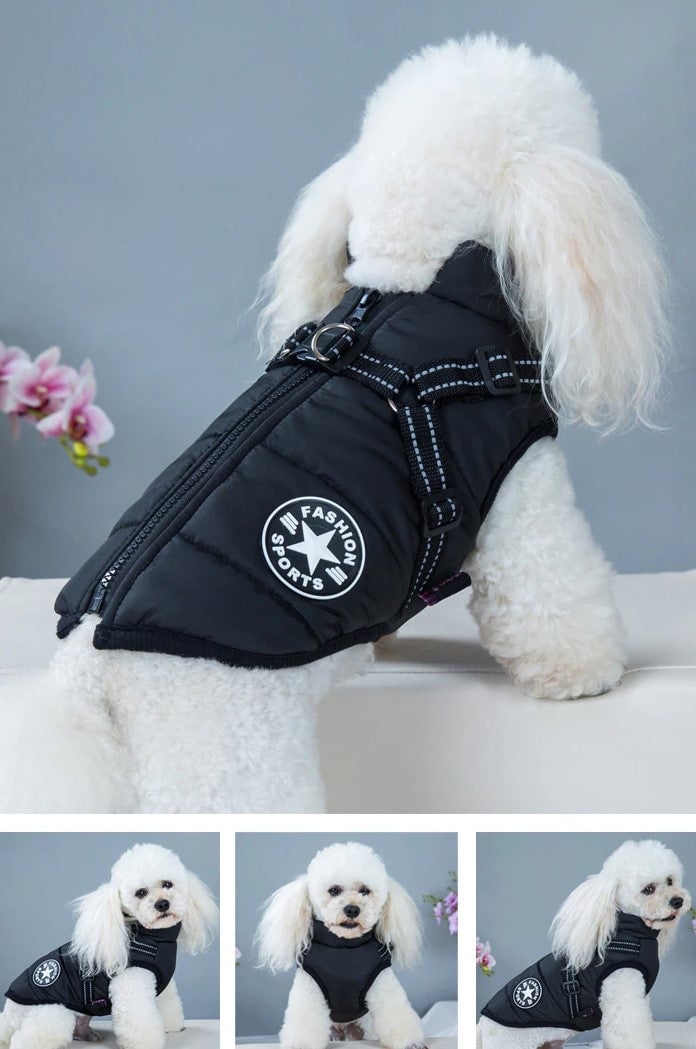 🔥Christmas Sale 49% OFF🔥 Waterproof Furry Jacket for Dogs of All Sizes