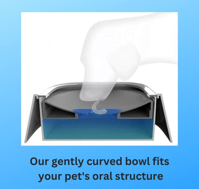 No-Splash Pet Bowl