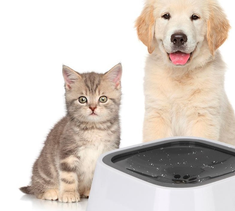 No-Splash Pet Bowl