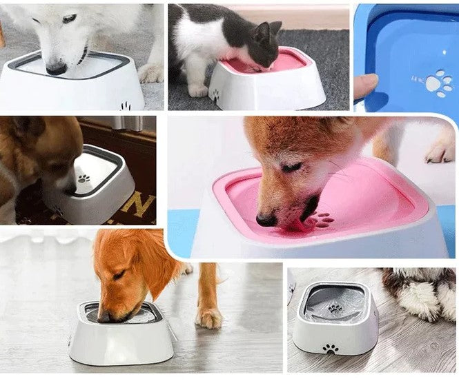 No-Splash Pet Bowl