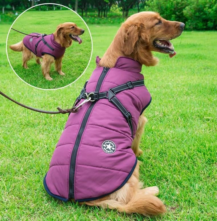 🔥Christmas Sale 49% OFF🔥 Waterproof Furry Jacket for Dogs of All Sizes